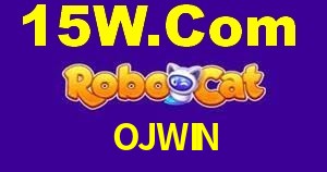 Experiência VIP OJWIN